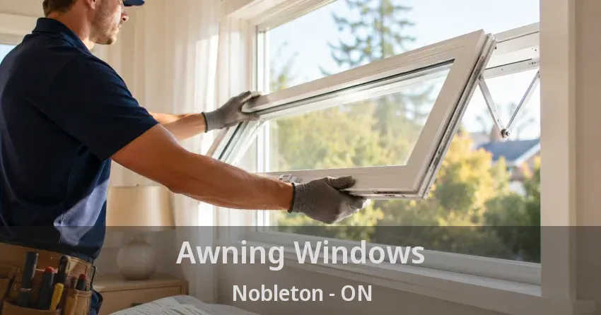 Awning Windows Nobleton - ON