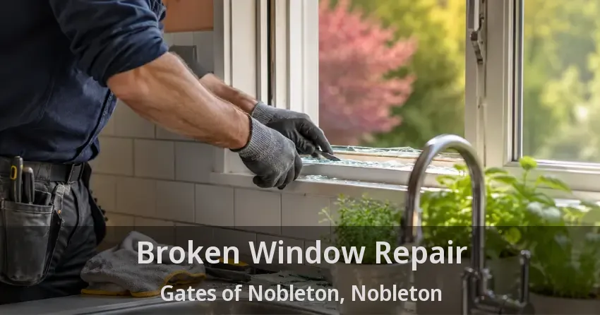 Broken Window Repair Gates of Nobleton, Nobleton - ON