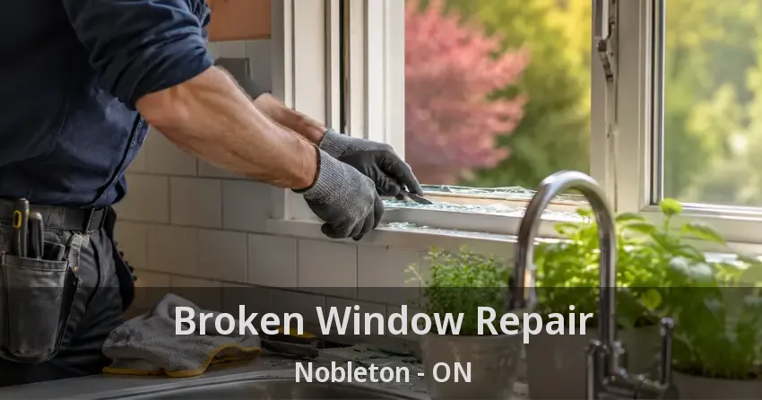 Broken Window Repair Nobleton - ON