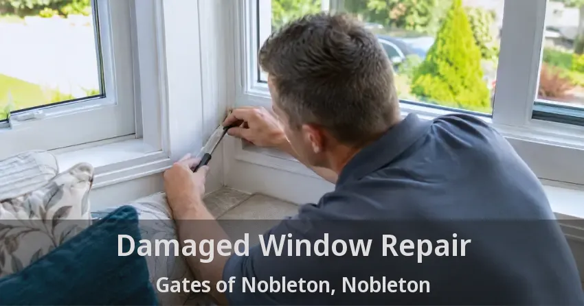 Damaged Window Repair Gates of Nobleton, Nobleton - ON