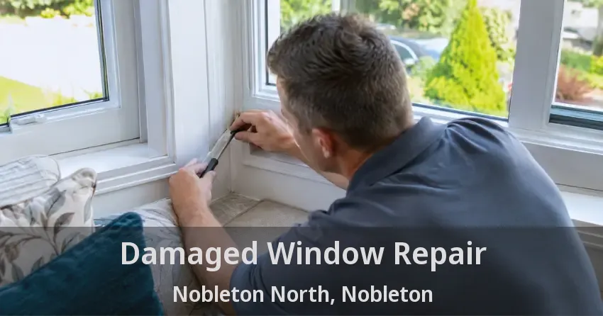 Damaged Window Repair Nobleton North, Nobleton - ON