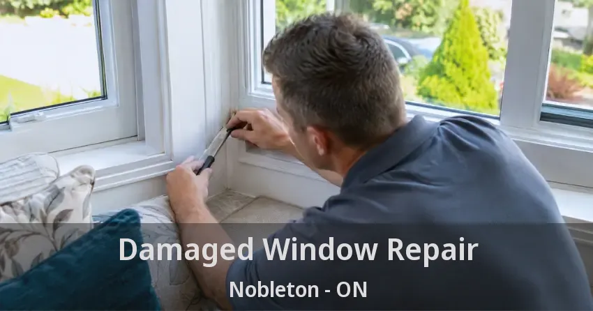 Damaged Window Repair Nobleton - ON