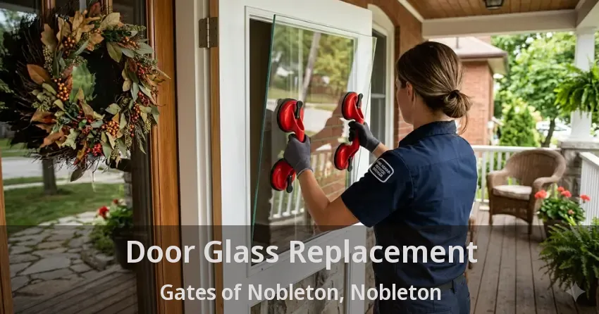 Door Glass Replacement Gates of Nobleton, Nobleton - ON