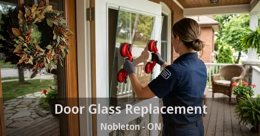 Door Glass Replacement Nobleton - ON