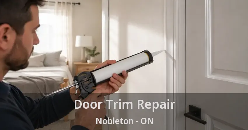 Door Trim Repair Nobleton - ON