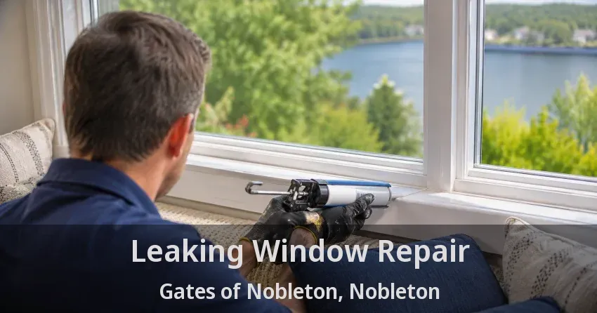 Leaking Window Repair Gates of Nobleton, Nobleton - ON