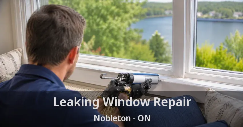 Leaking Window Repair Nobleton - ON