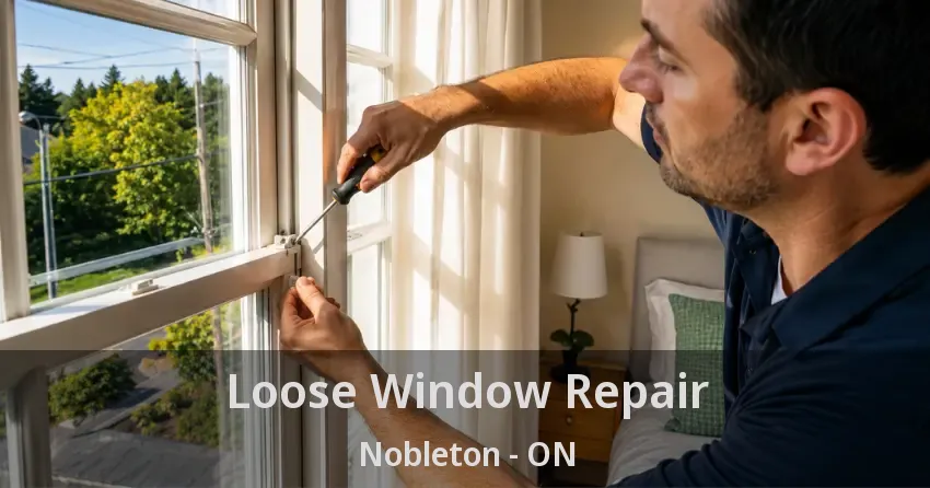 Loose Window Repair Nobleton - ON