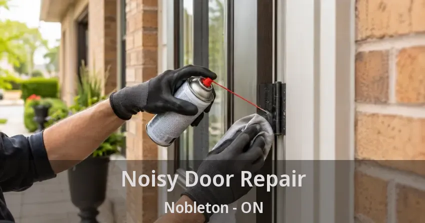 Noisy Door Repair Nobleton - ON