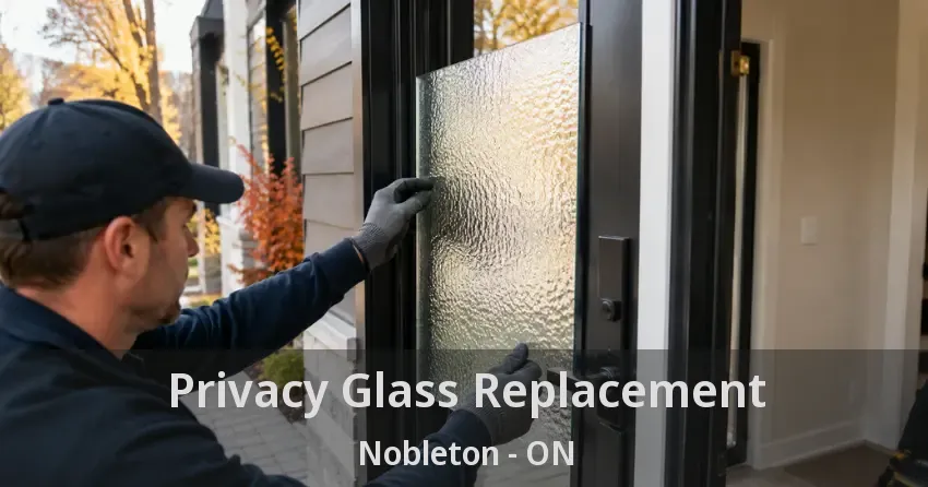 Privacy Glass Replacement Nobleton - ON