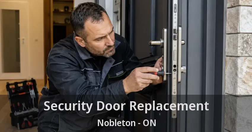 Security Door Replacement Nobleton - ON