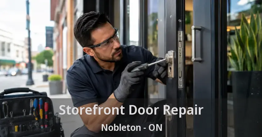 Storefront Door Repair Nobleton - ON