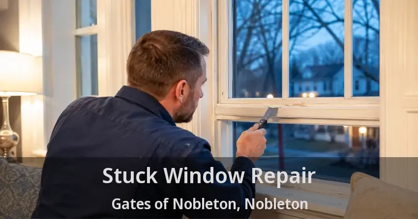 Stuck Window Repair Gates of Nobleton, Nobleton - ON