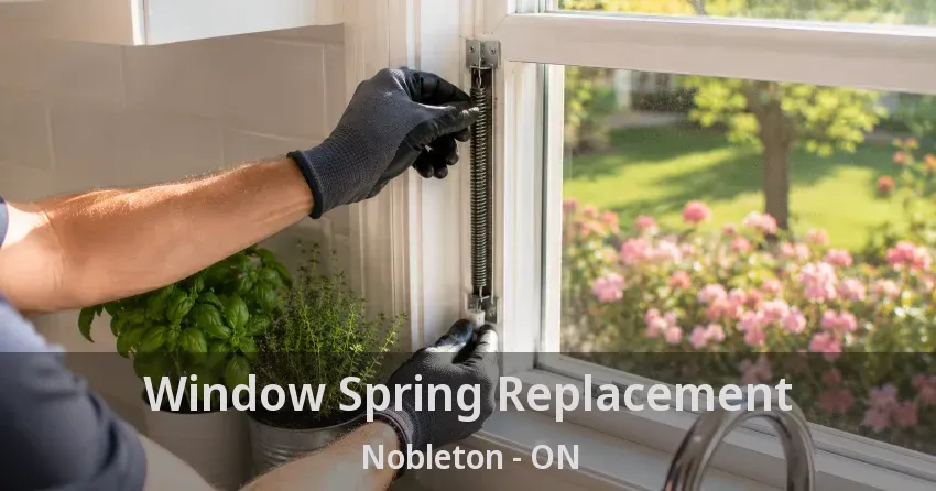 Window Spring Replacement Nobleton - ON