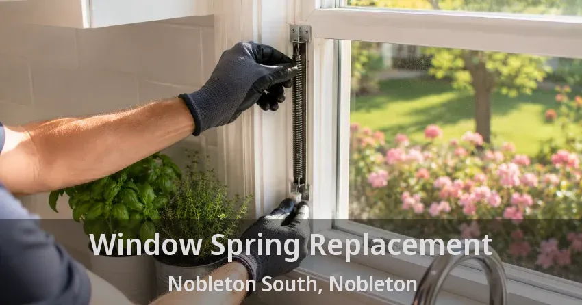 Window Spring Replacement Nobleton South, Nobleton - ON